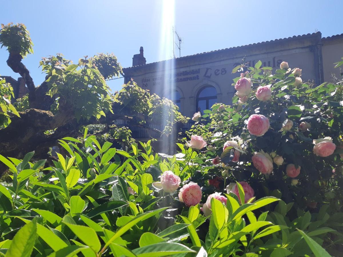 Appart'Hotel Les Tilleuls Saint-Macaire Eksteriør bilde